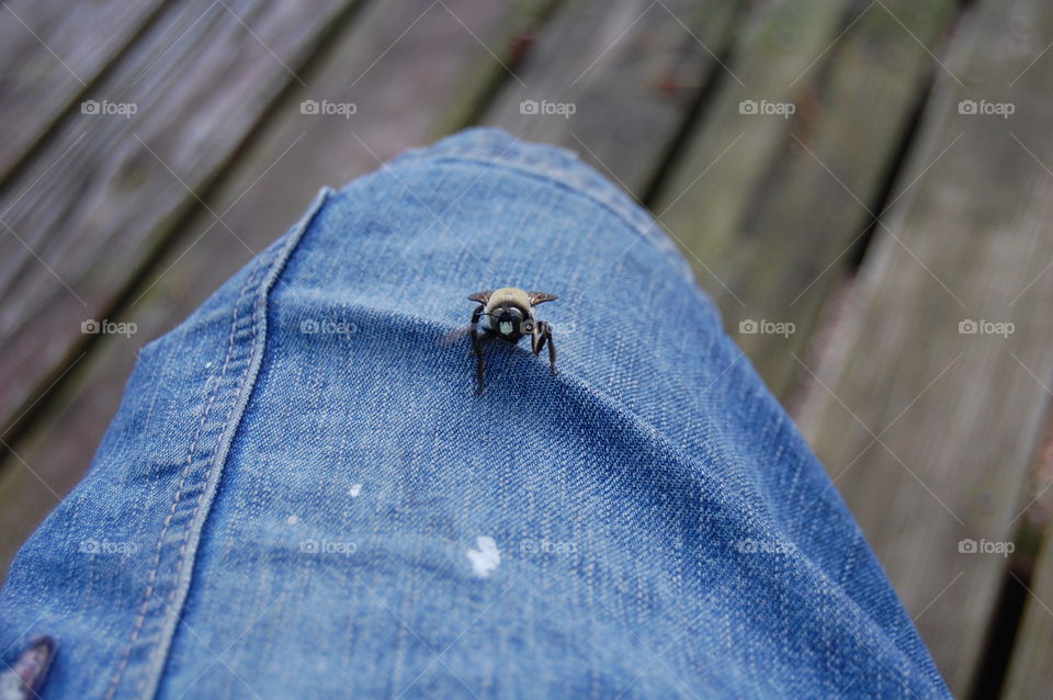 Say hello to my lil friend