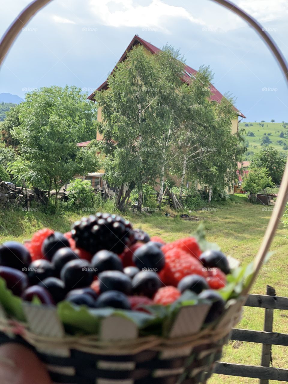 Wild berries in a basket 