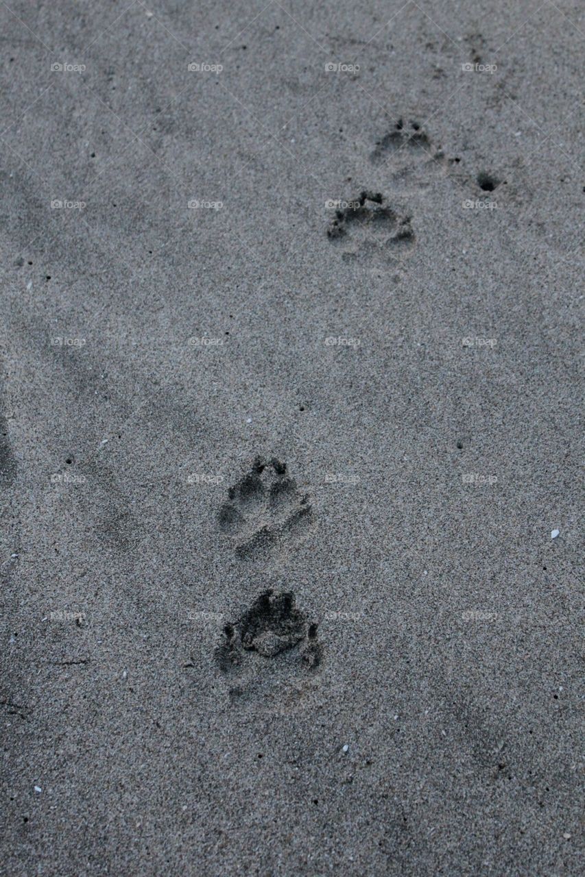 Footprint, Sand, No Person, Road, Beach