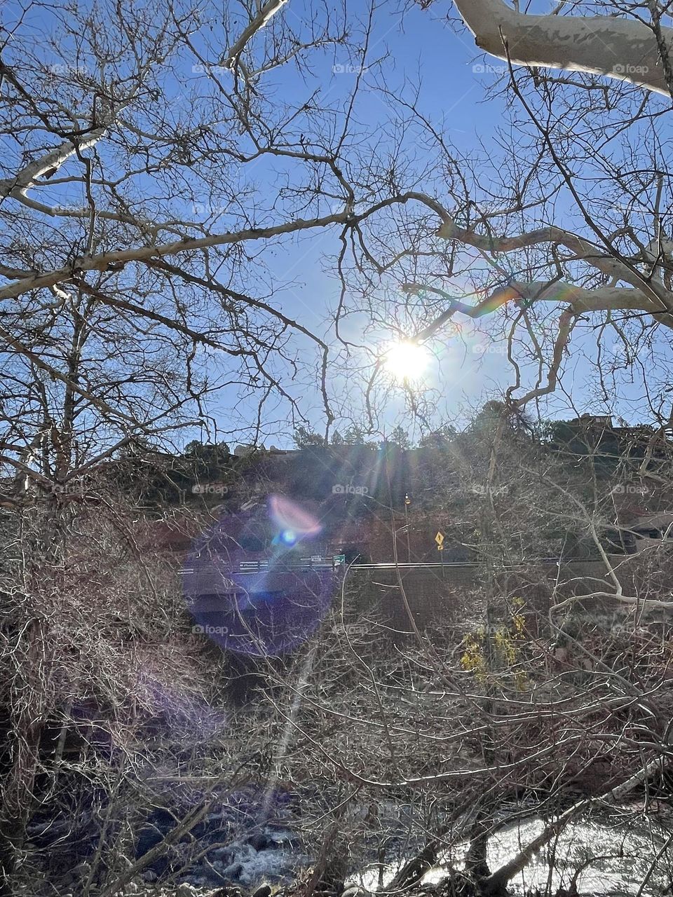 Harmony into desert wilderness 