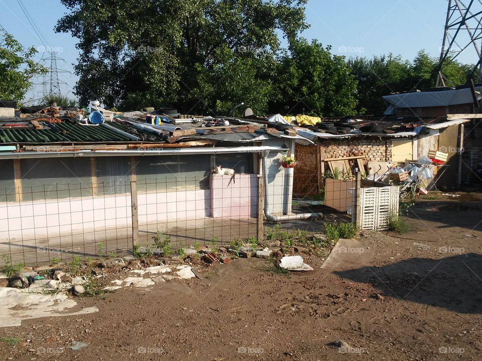 Gypsies  in the city