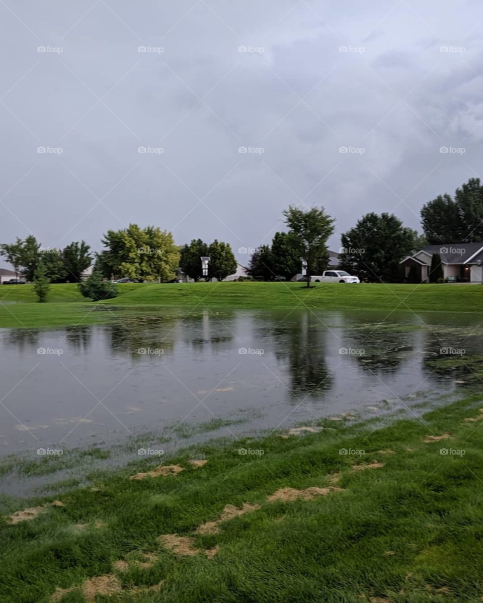 Tree Grove Park