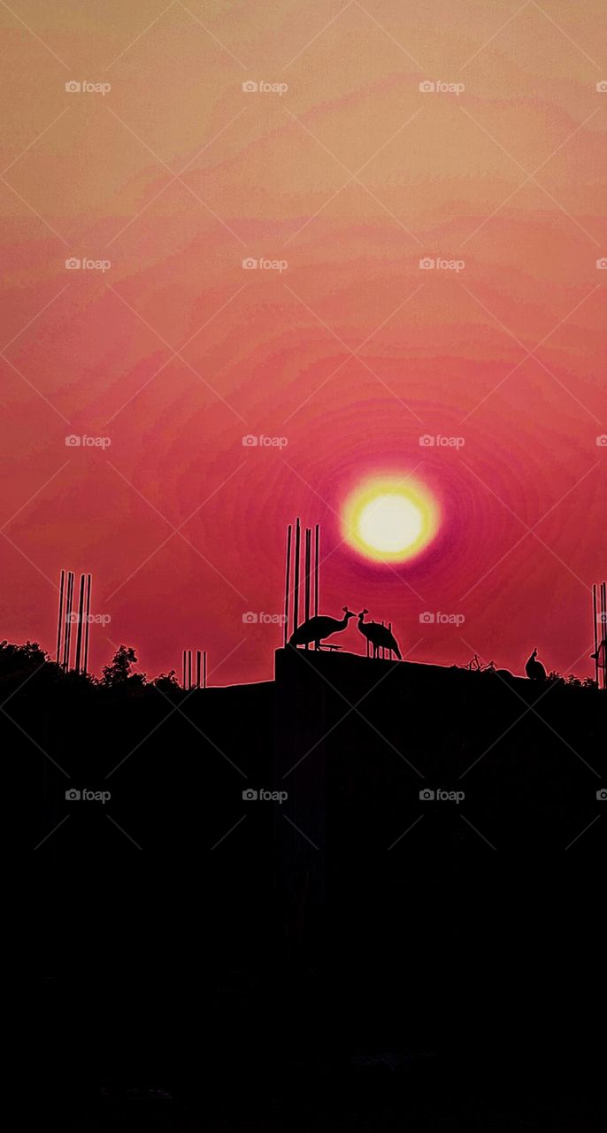 The early morning scene at my Village caught my attention!