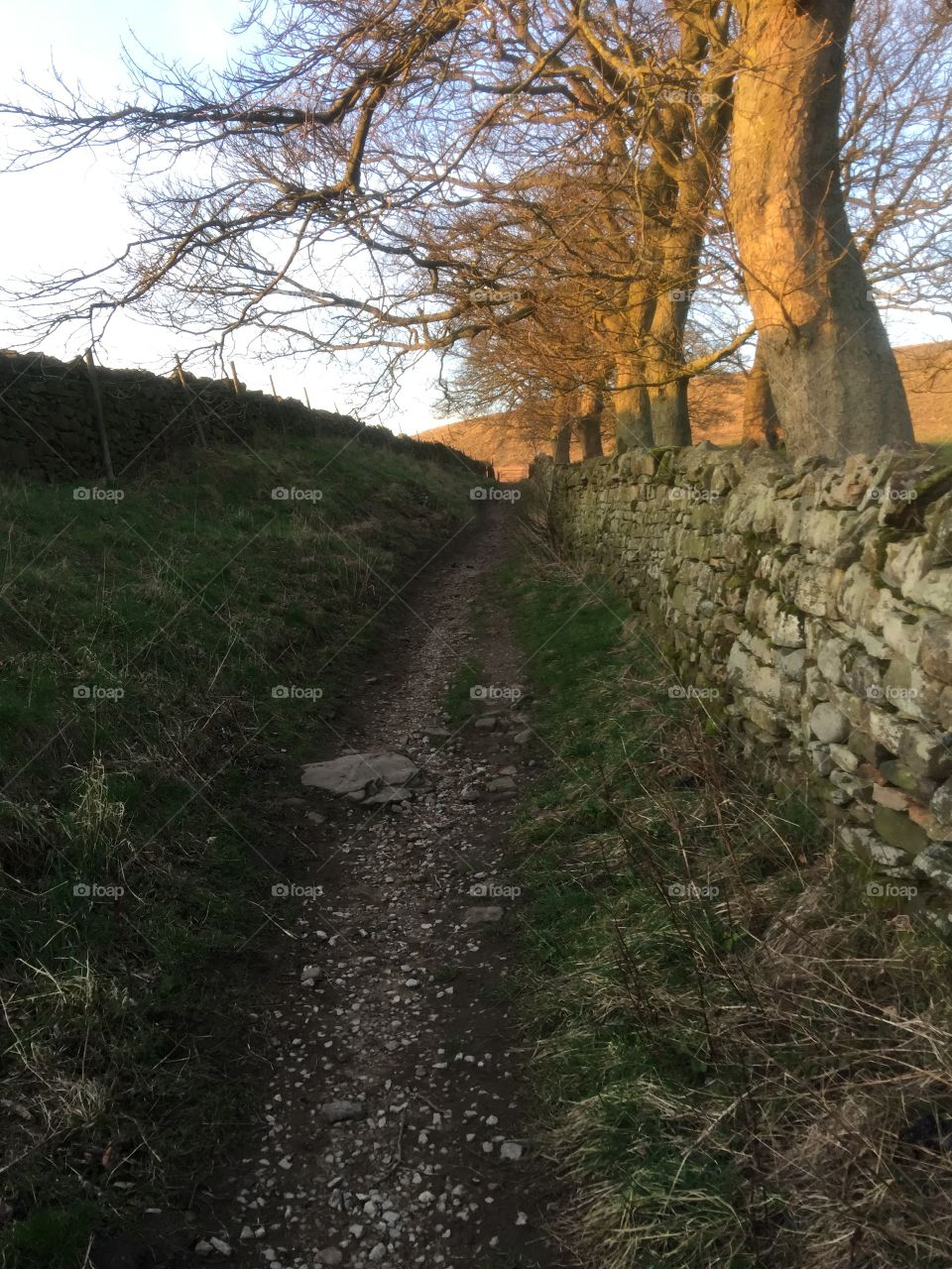 Old farm pathway leading to the moors