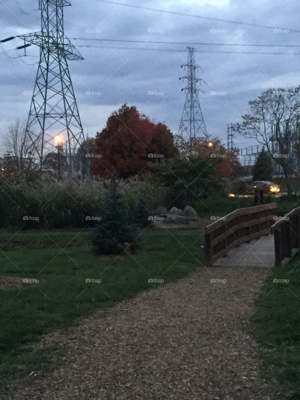  Bridge to nighttime . Dusk at a local arboretum 