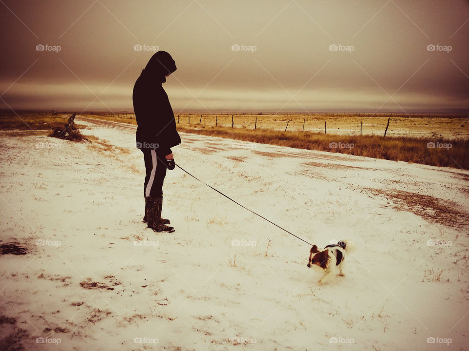 Dog Walk in Winter