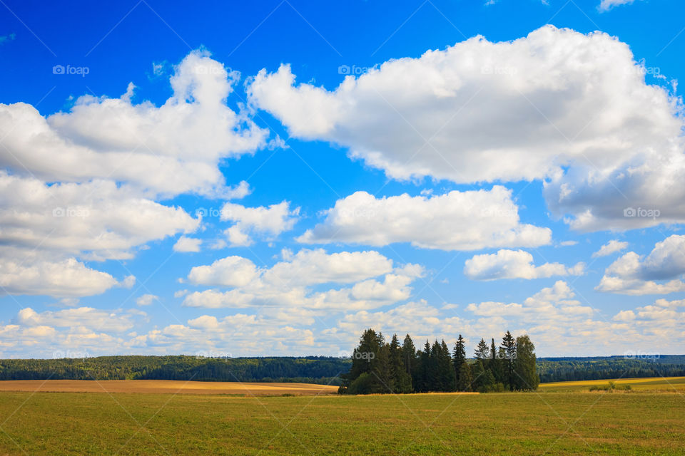 Rural landscape