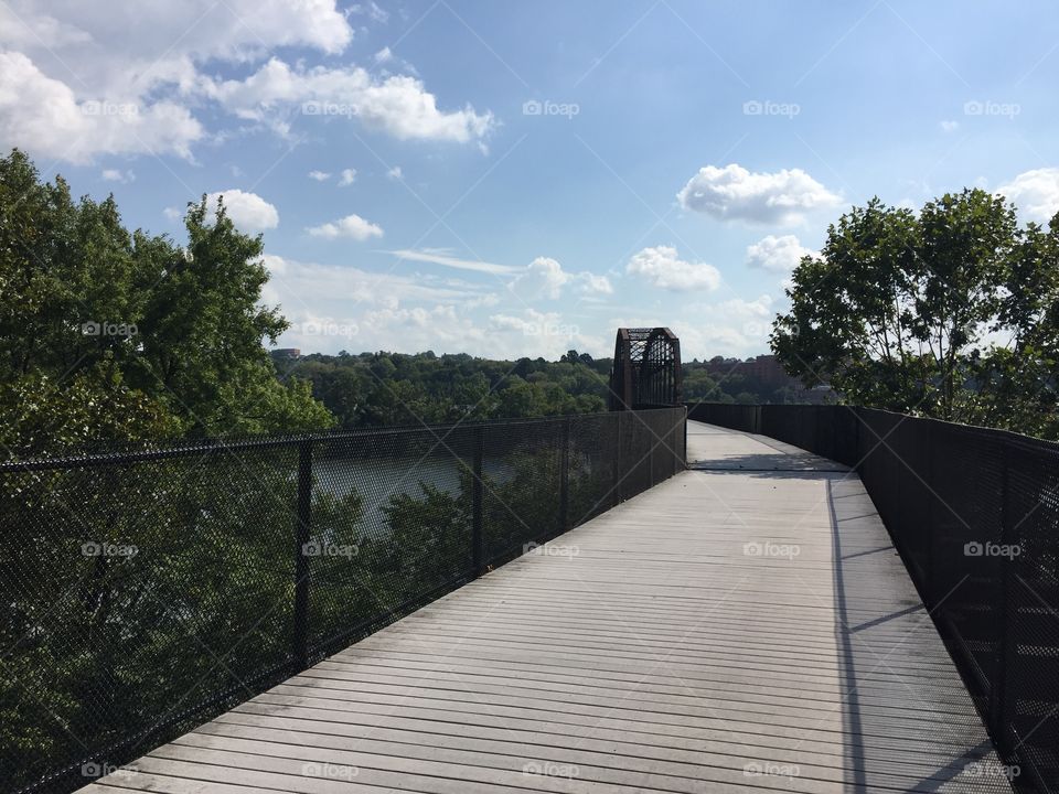 Tree, Landscape, Bridge, River, Guidance