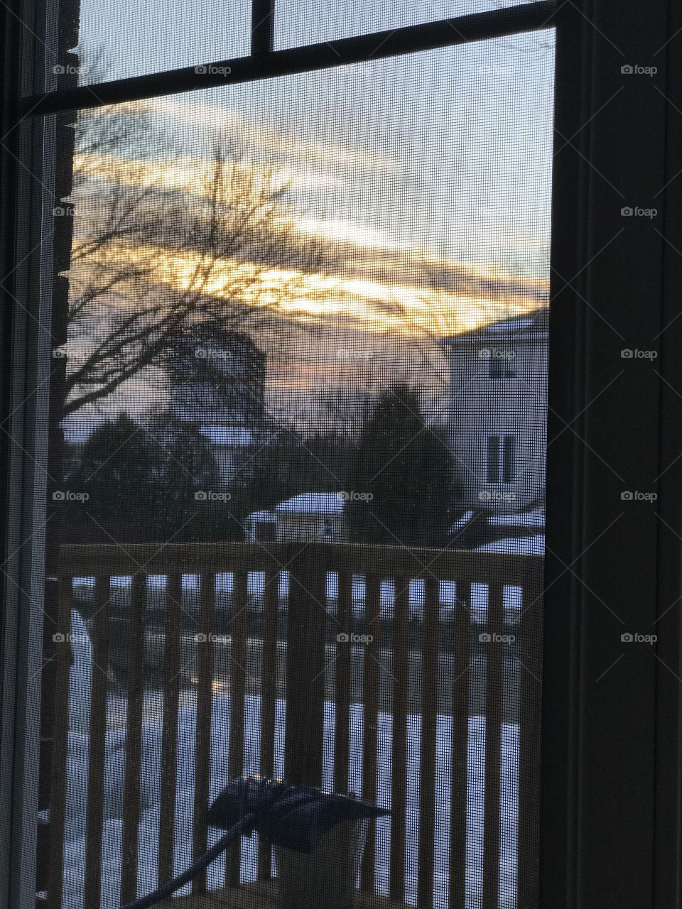 Looking outside 