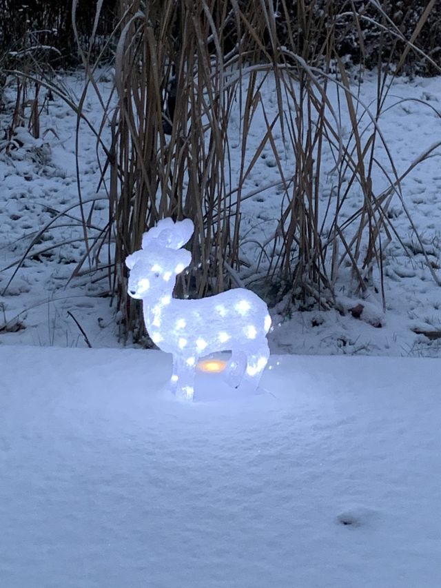 Joyin Christmas 