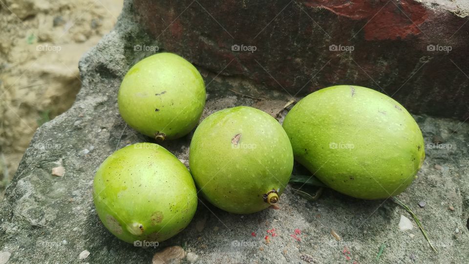 mango season