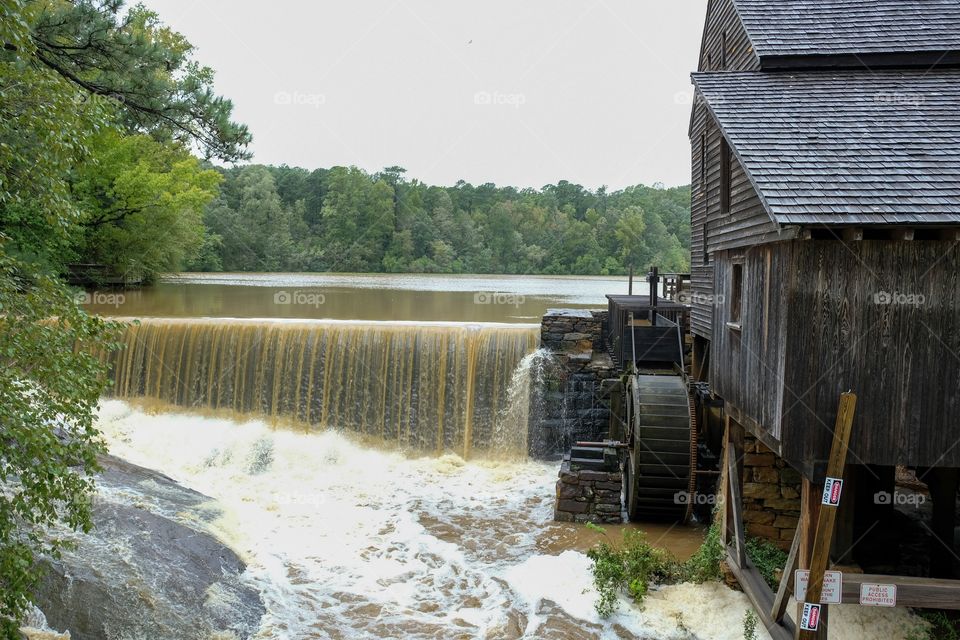 Muddy flood waters from Hurricane (or presently Tropical Storm) Florence gush over the waterfall while the old gristmill still stand strong. Historic Yates Mill County Park in Raleigh North Carolina. 