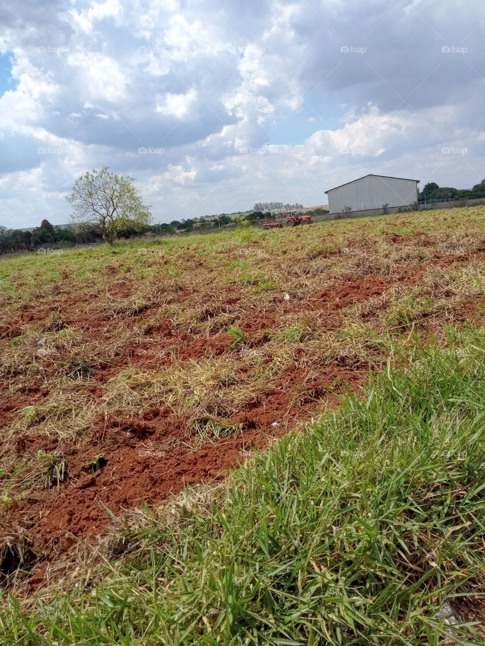 A Natureza e seus encantos!