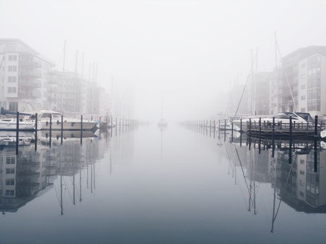 Misty harbour 