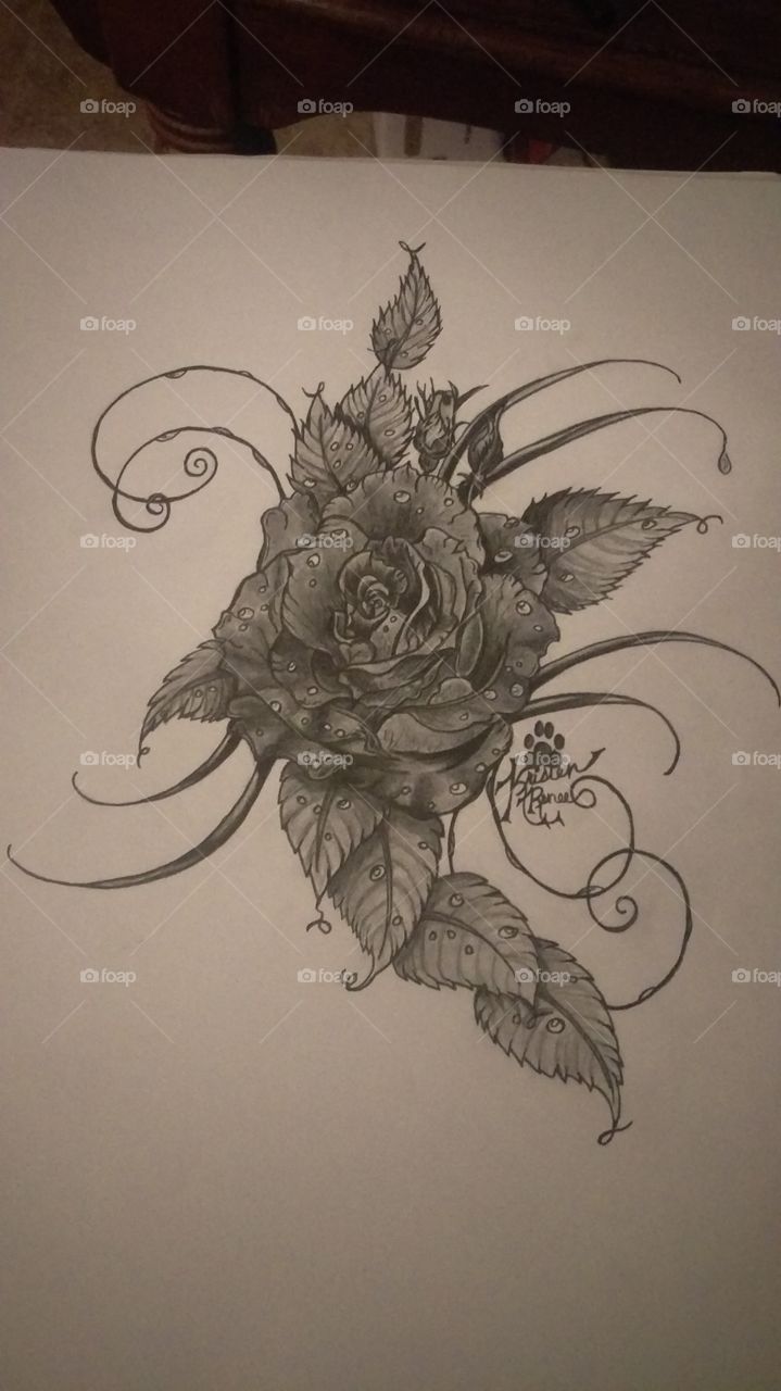 My wet rose pencil drawing
