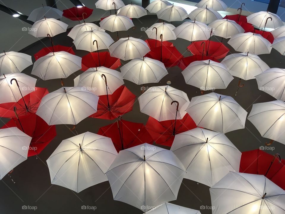 Umbrellas and color 