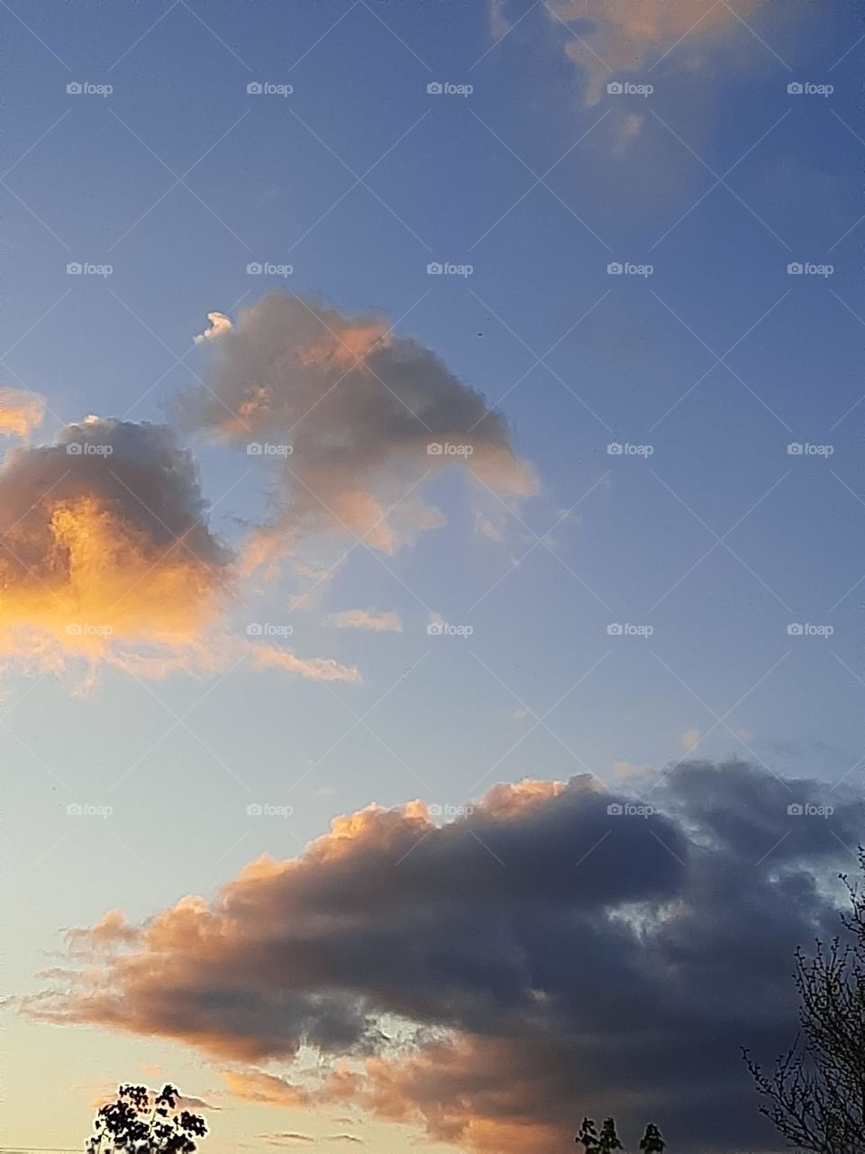 Evening clouds