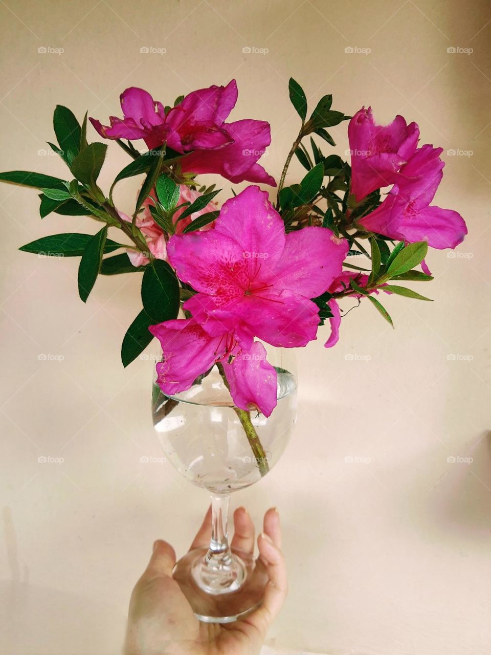 azaleas in a glass vase
