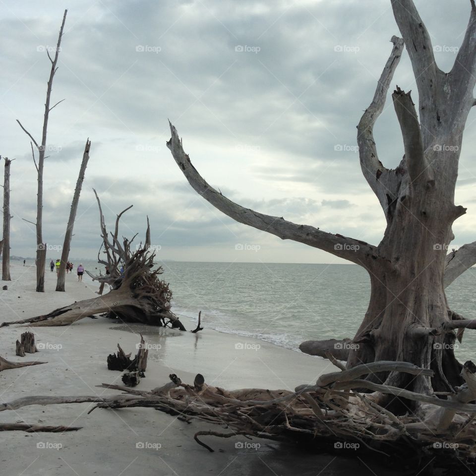 Awesome Beaches and Cliffs