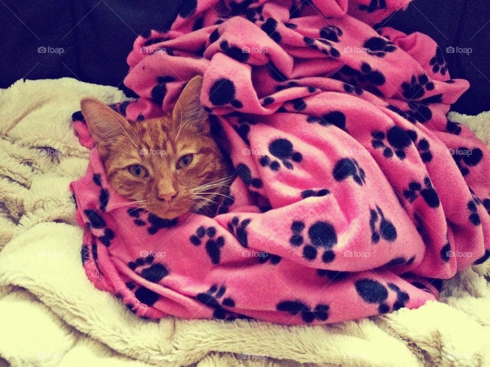 I'm not getting up for anyone.