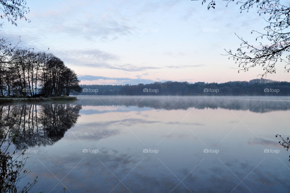 Beauty in nature reflection