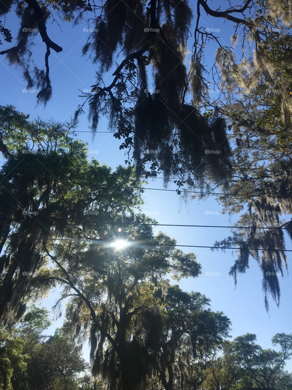 Nature