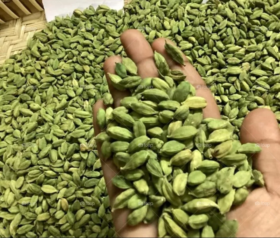 Cardamom