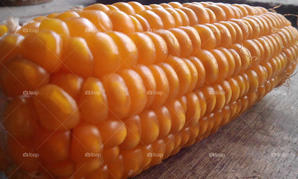corn