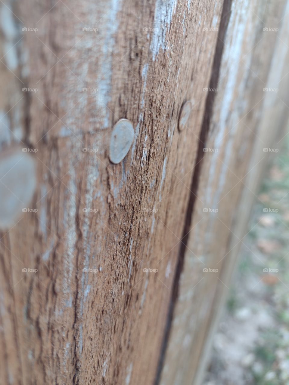 Unfiltered close-up of a beautifully aged fence
