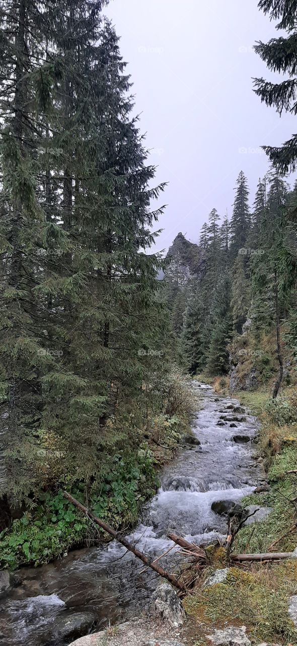 stream in the mountains