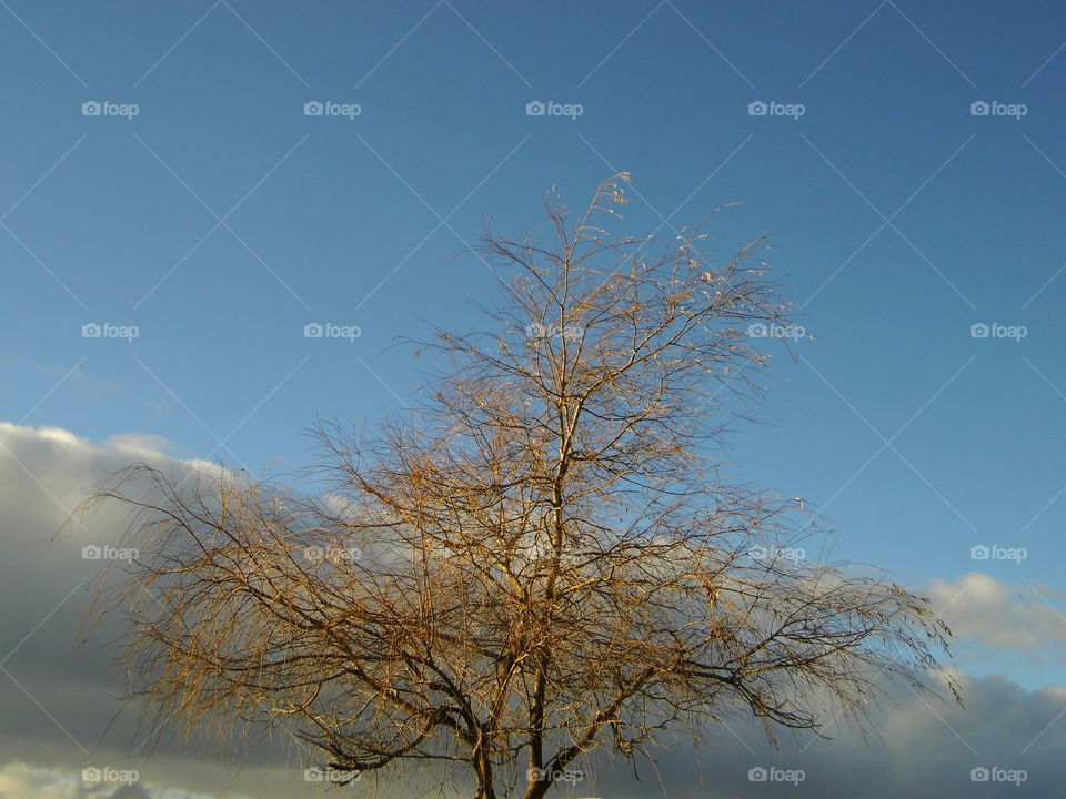 background or wallpaper and beautiful blue sky