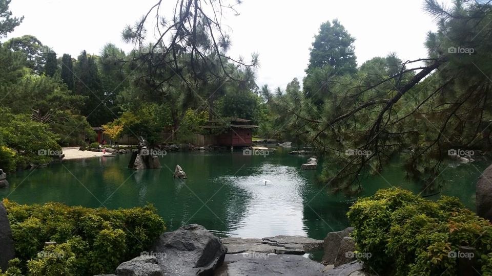 Auburn Japanese Gardens 
