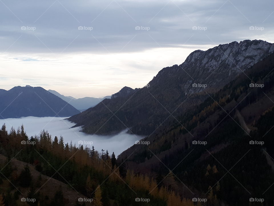 Am Schabenreitnerstein