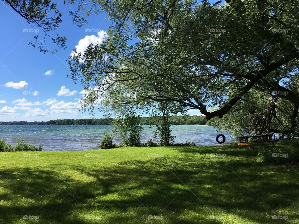 Waterfront landscape with tire swing hanging from tree and empty picnic table conceptual summertime fun escape and vacation background photography dreamlike setting 