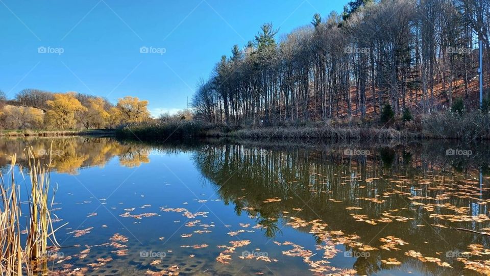 Fall Reflections