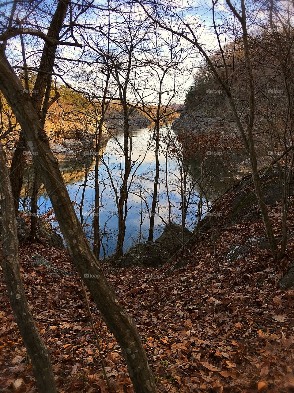 Potomac River in December