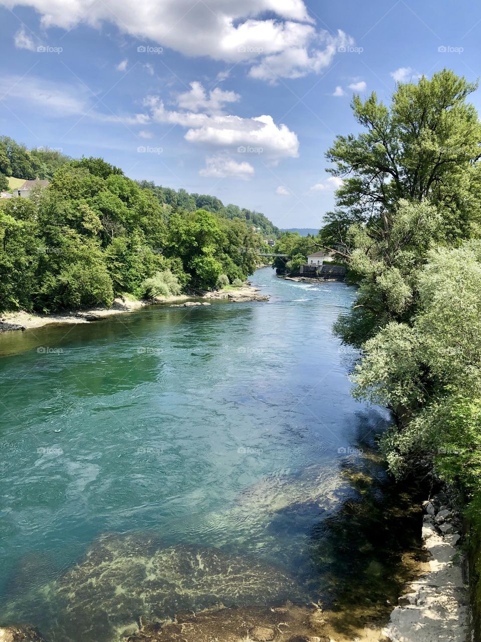 Meadow landscape in summer
