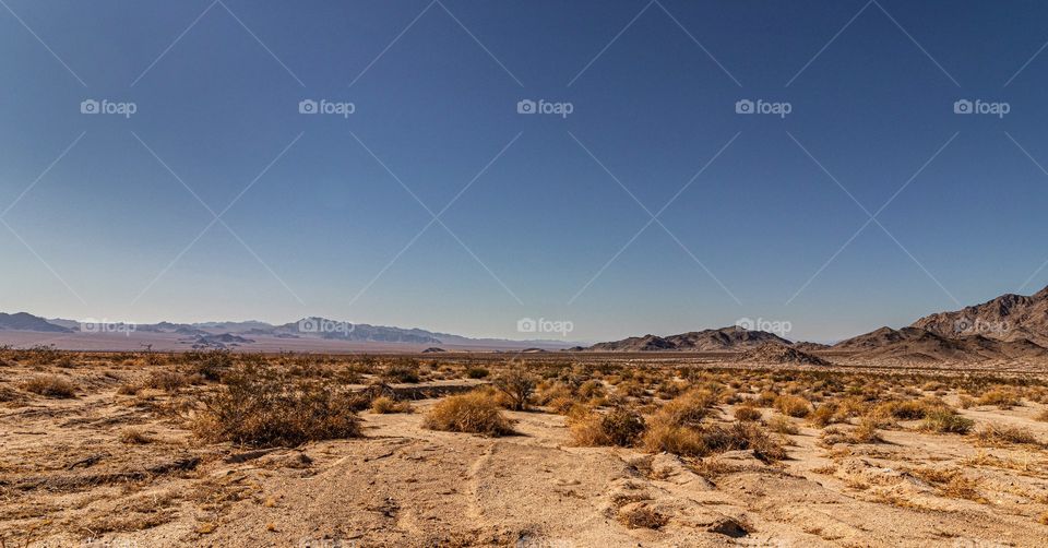 wide open desert, wide open sky. plenty of space to stretch out in the California Mojave.