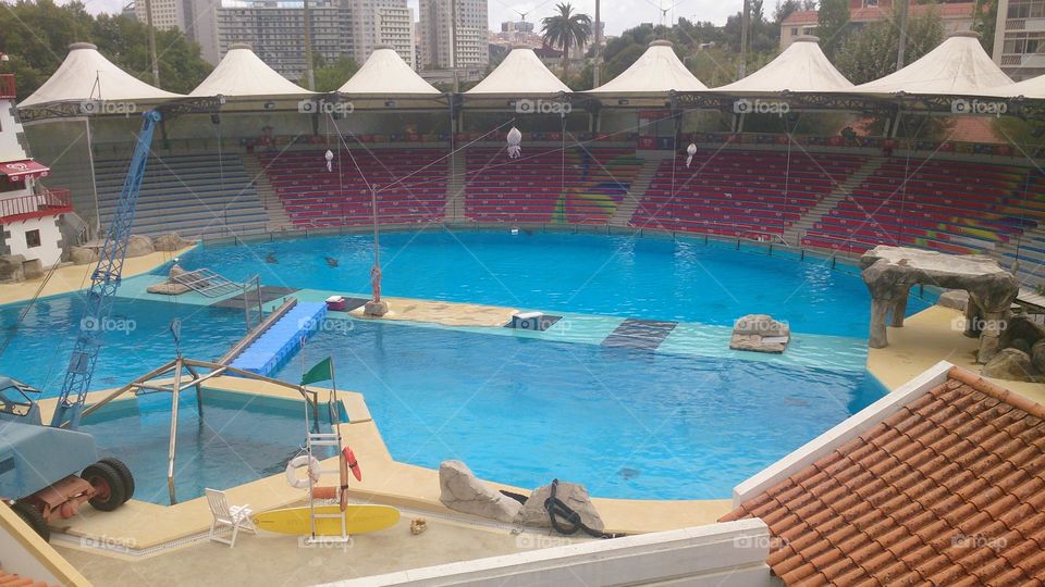 Dolphins house. the of the dolphins show