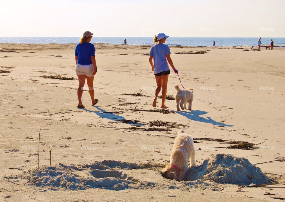 Walking dog at the beach