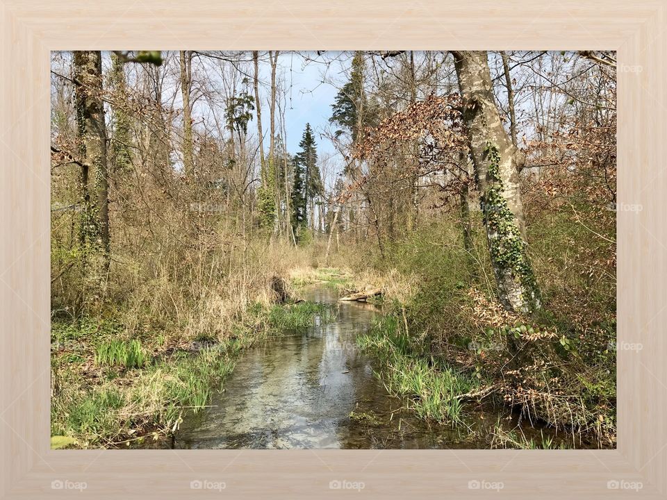 Gerlafingerweiher 