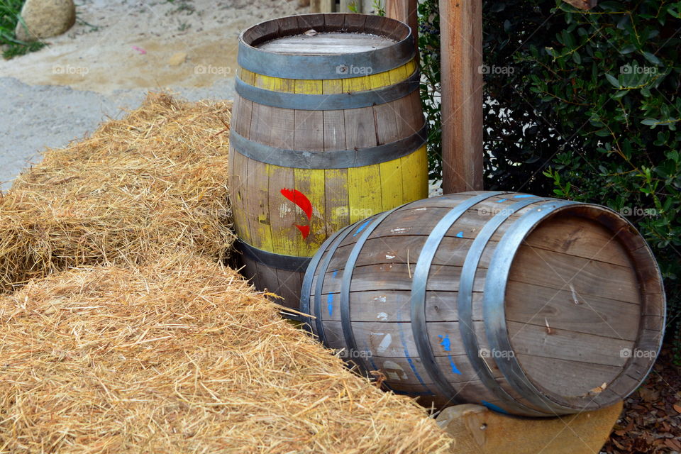 autumn, wine barrels