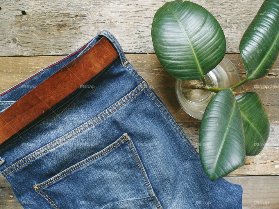 jeans and a green plant in a glass