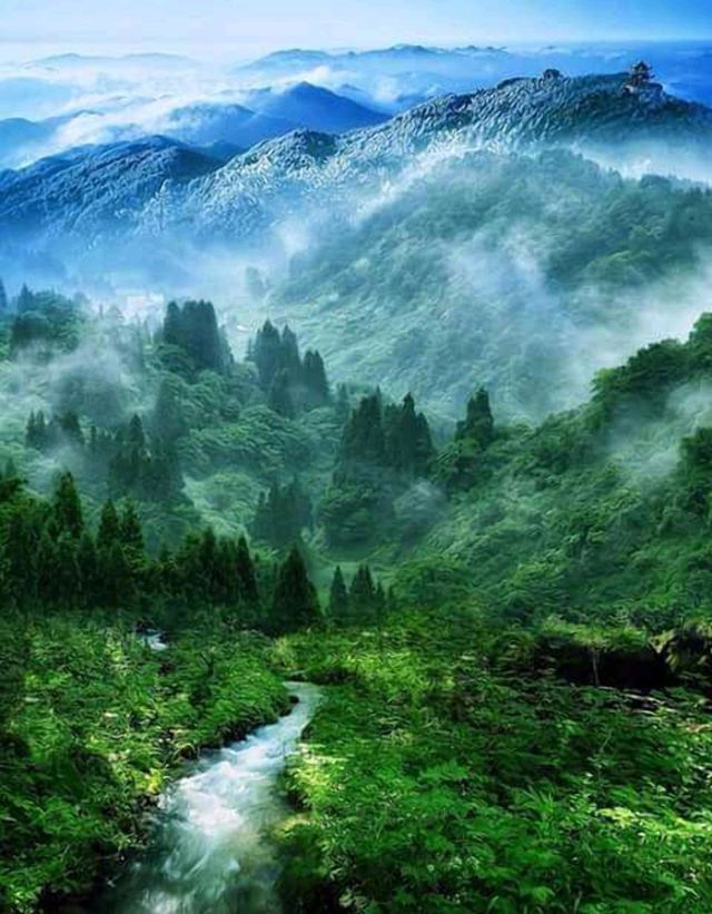Nature