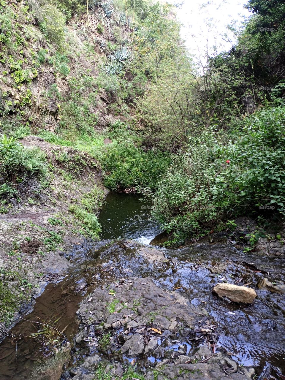 barranco Azuaje gran canaria