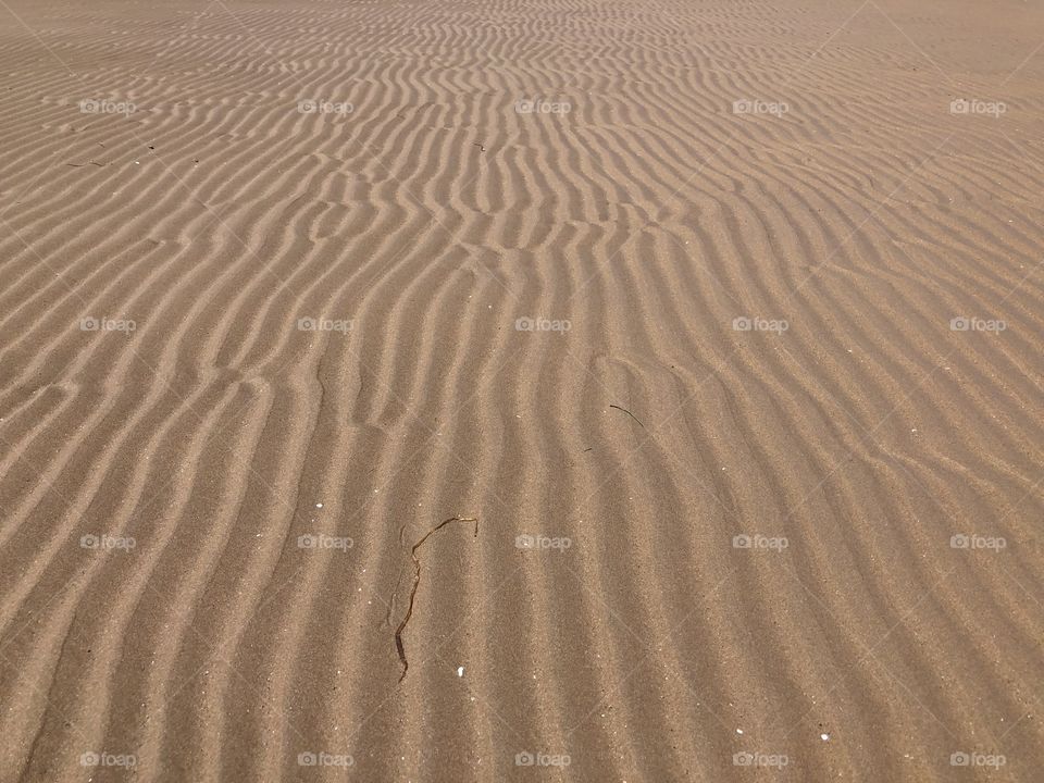 Desert sand? No. On the beach!