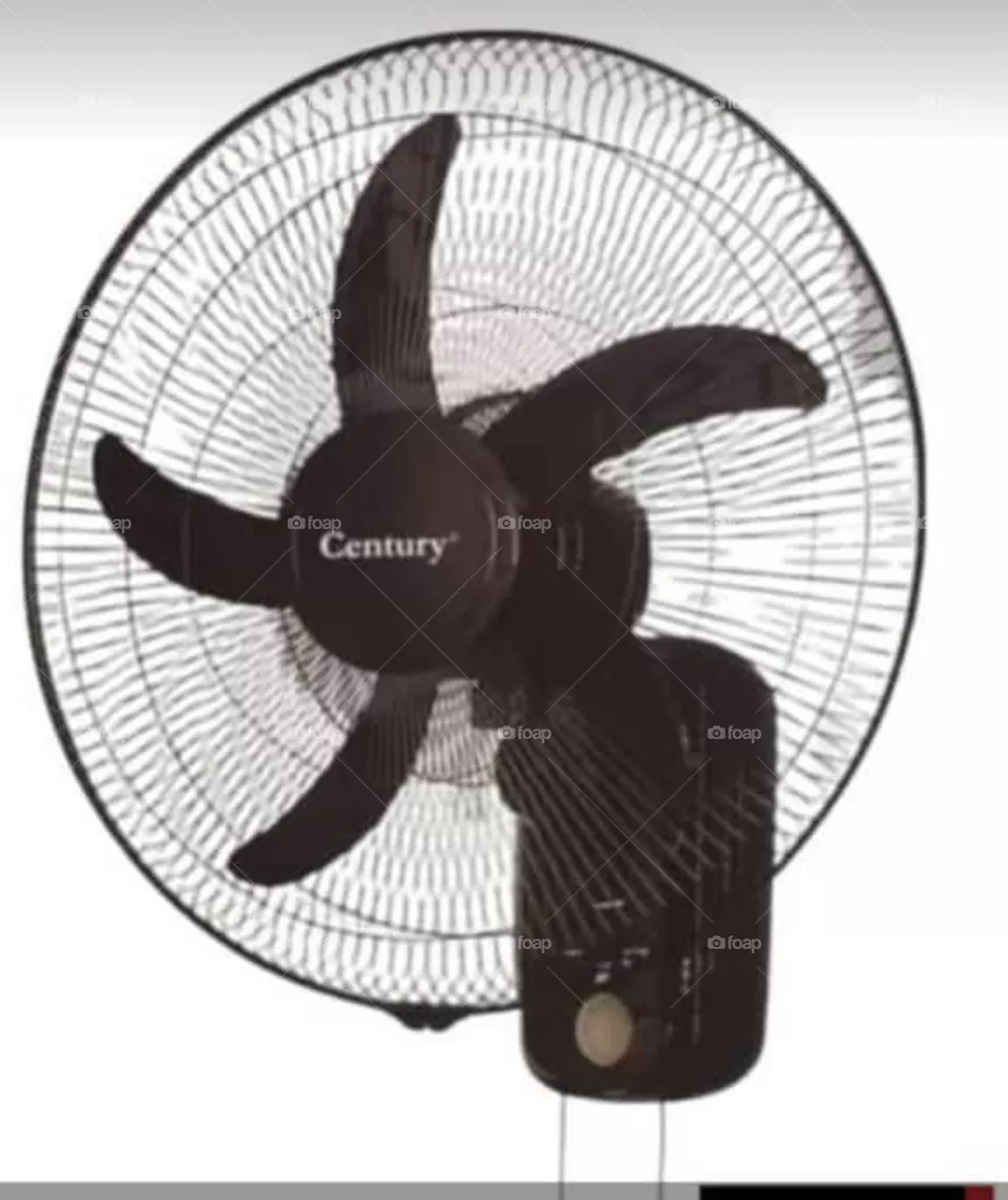 sitting room fan