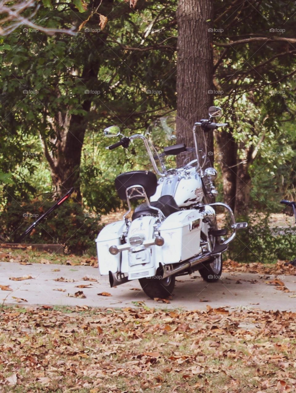 A white motorcycle setting among autumn leaves under trees. 