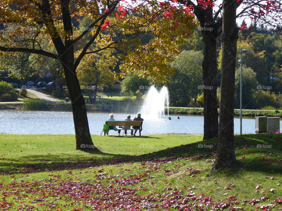 autumn - Park - Niedersachsen 