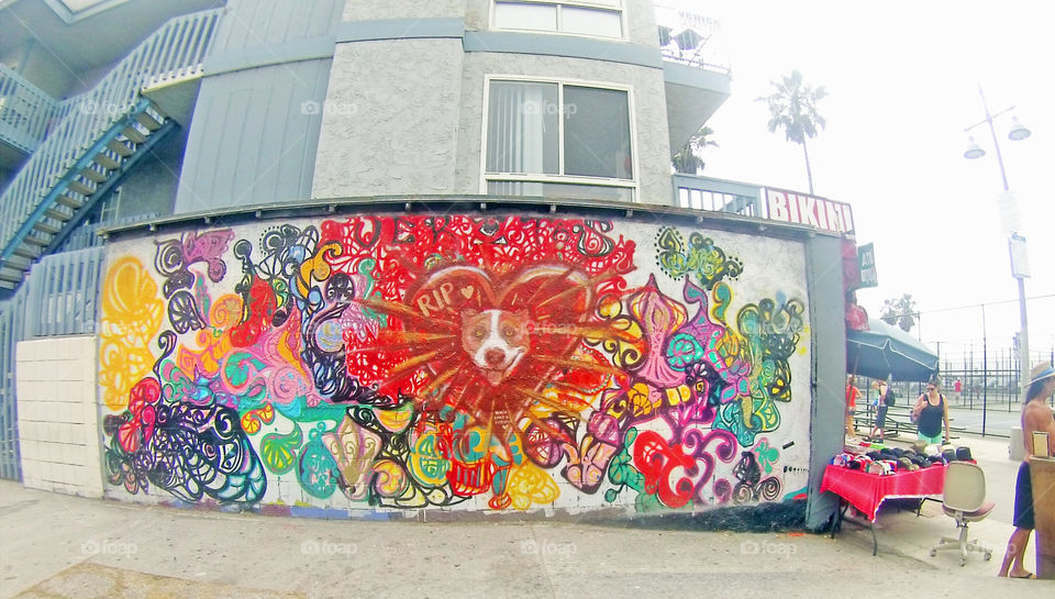 Venice beach wall art mural